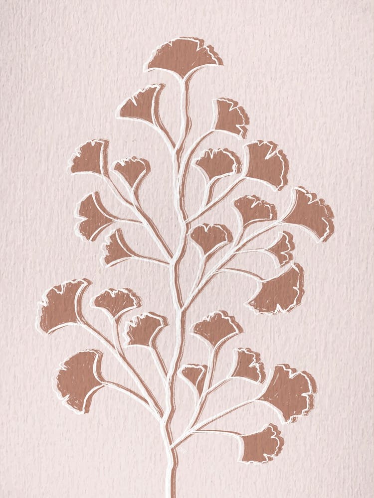 Brown Ginkgo
