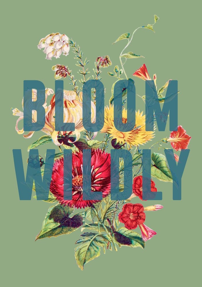 Bloom Wildly