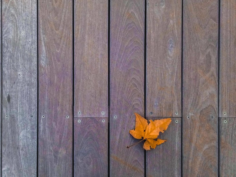 Orange Leaf On Wooden Deck 1