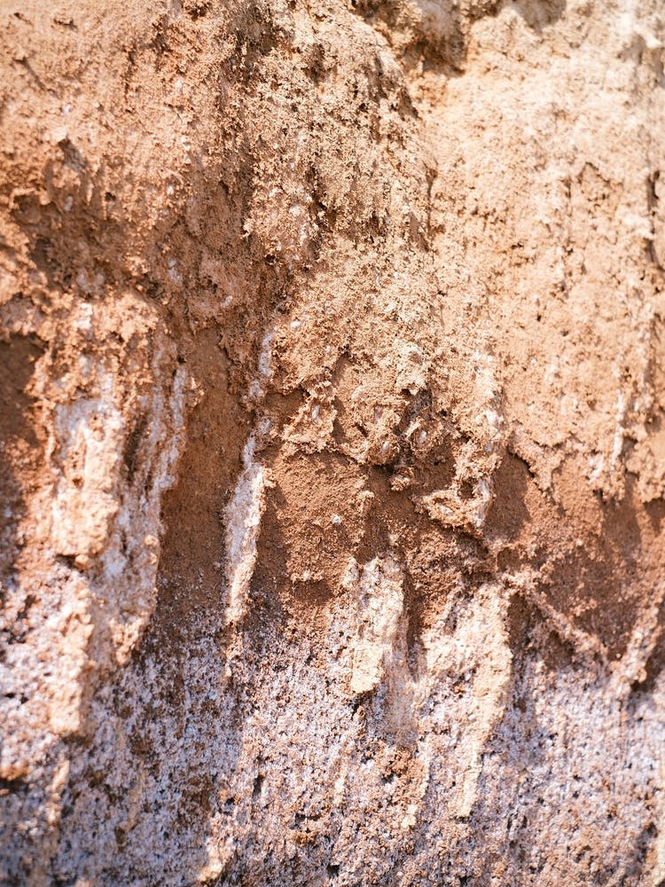 Pastel Ground // Ibiza Nature Photography