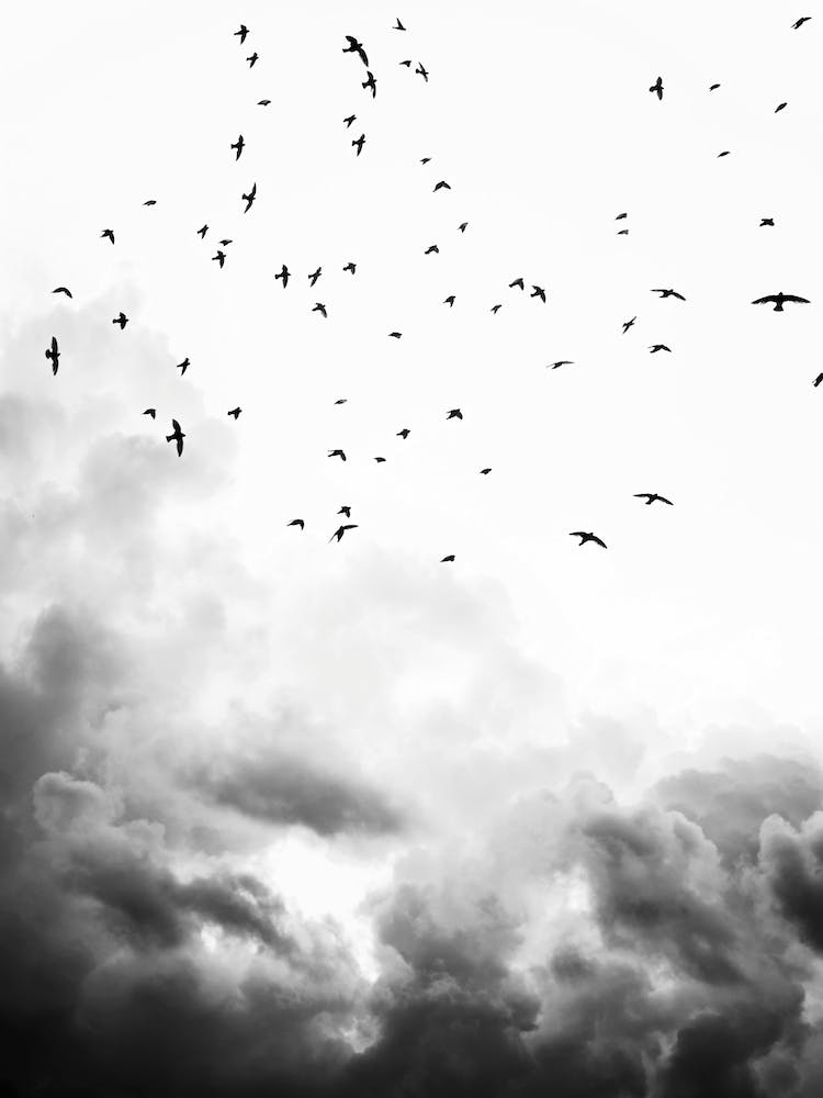 In The Sky