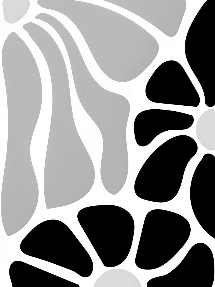 Black And White Flower 55