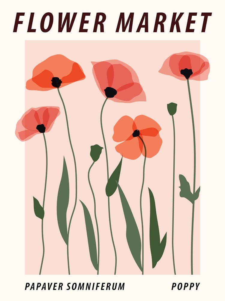 Flower market Poppy, Pink floral botanical print