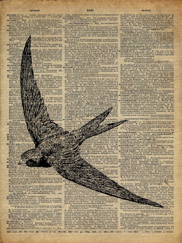 Schwalbenvogel