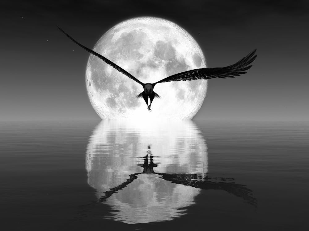 Full Moon In The Sky