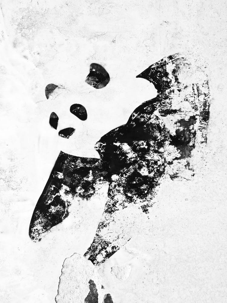 Venice Wall Panda