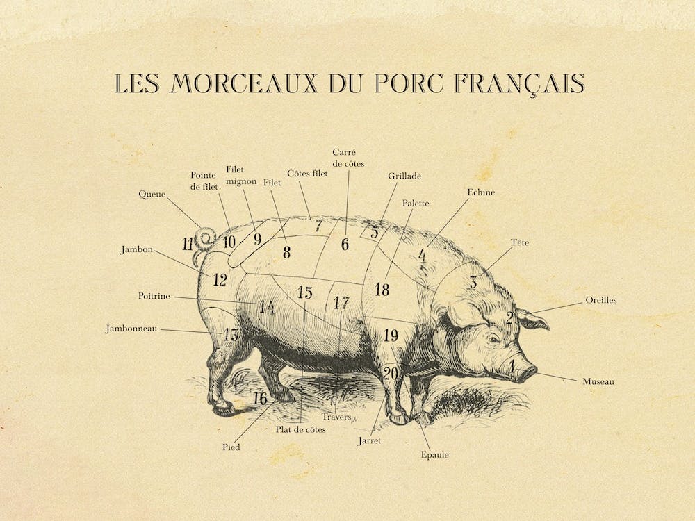 French Pork Butcher Cuts Chart