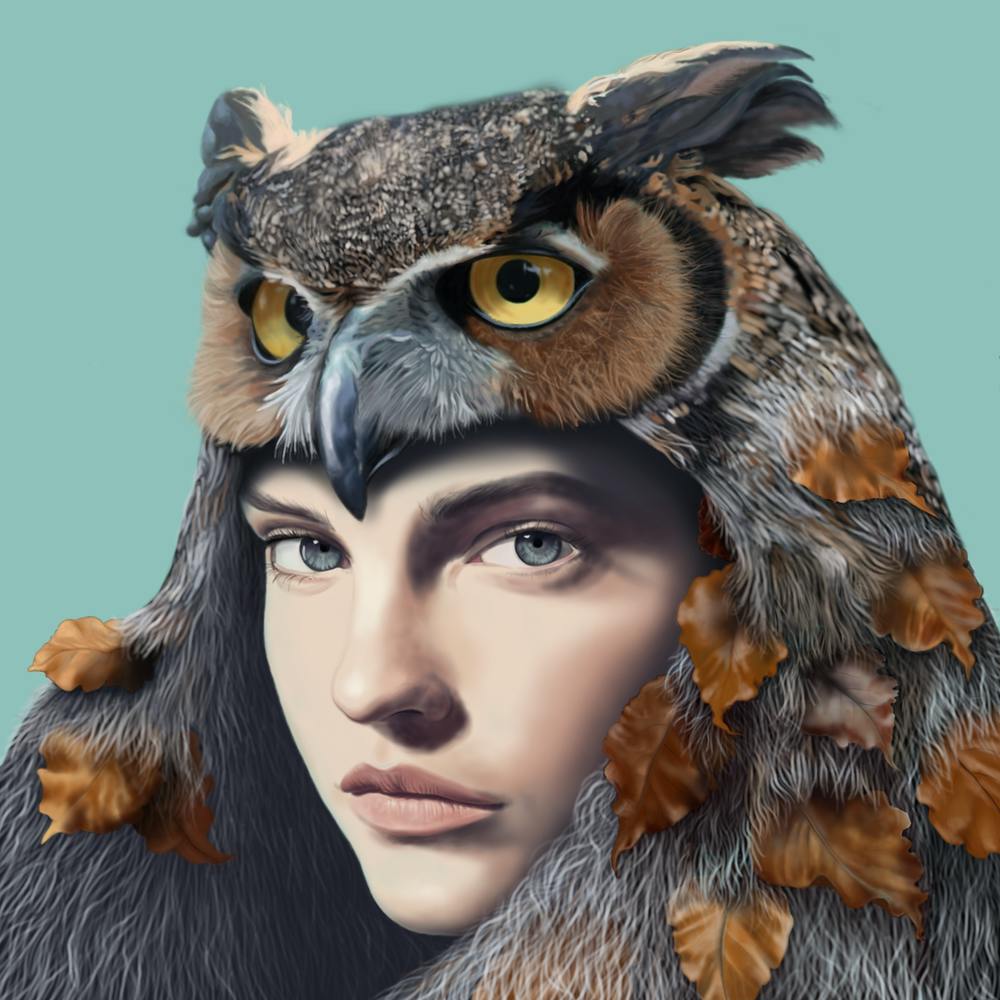 Owl Portrait