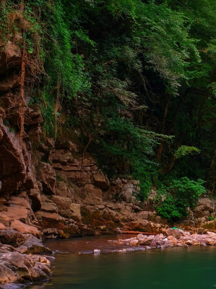 Waterfall In A Forest Photo