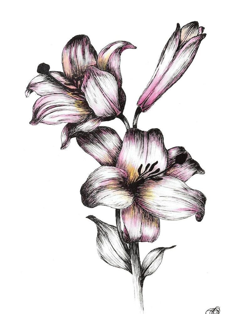 Aquarell Zwei Blumen und eine Knospe