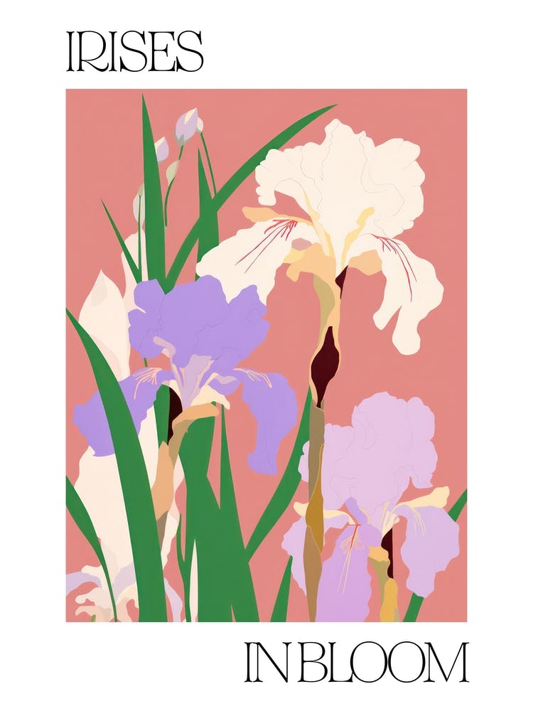 Irises In Bloom Flowers Bold Illustration 4