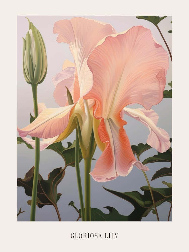 Floral Illustration Gloriosa Lily 3 Poster