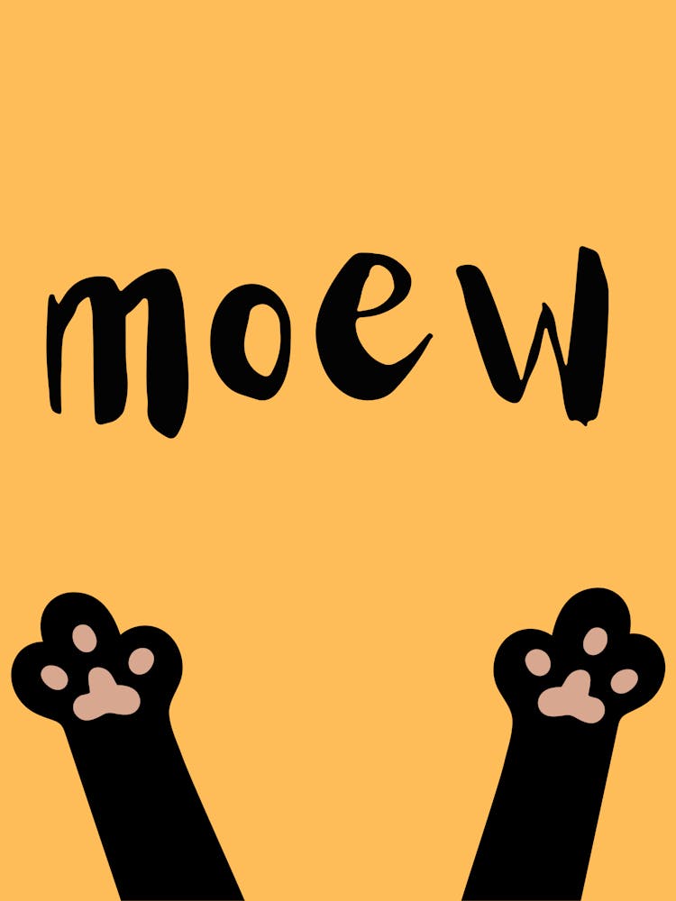 Moew cat black