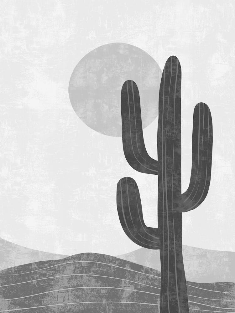 Cactus In The Desert 11