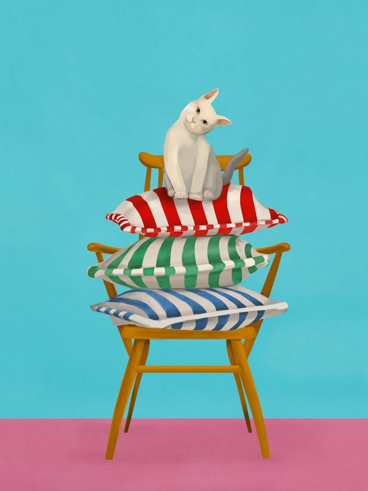 The Cushion Throne