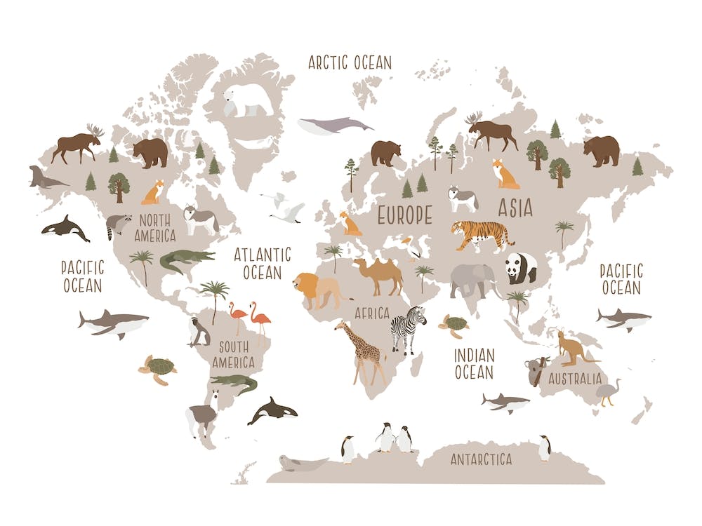 Kids World Map, Nursery Decor, White