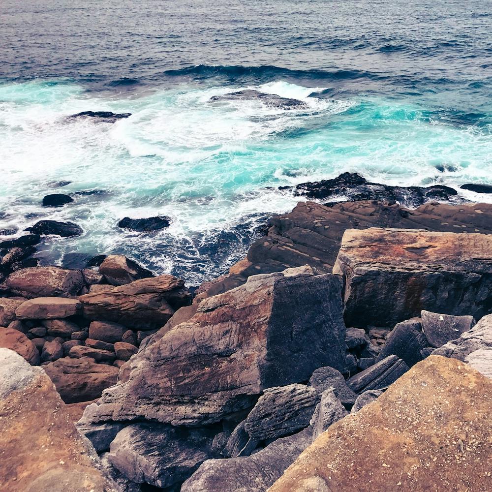 Sydney Harbour 1