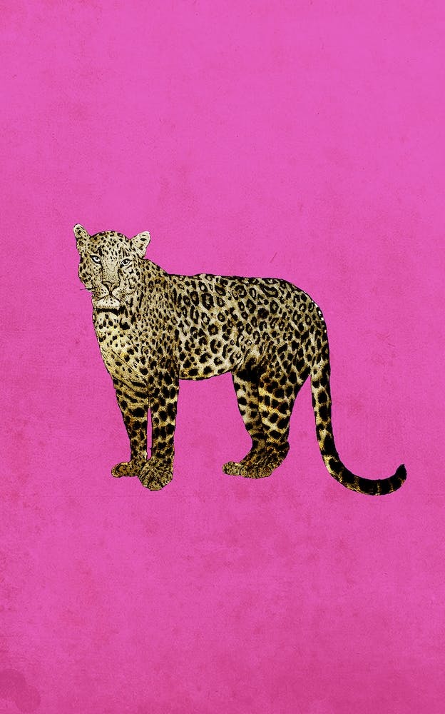 Standing Leopard