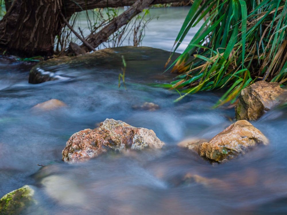 Ruisseau Paisible Dans la Forêt