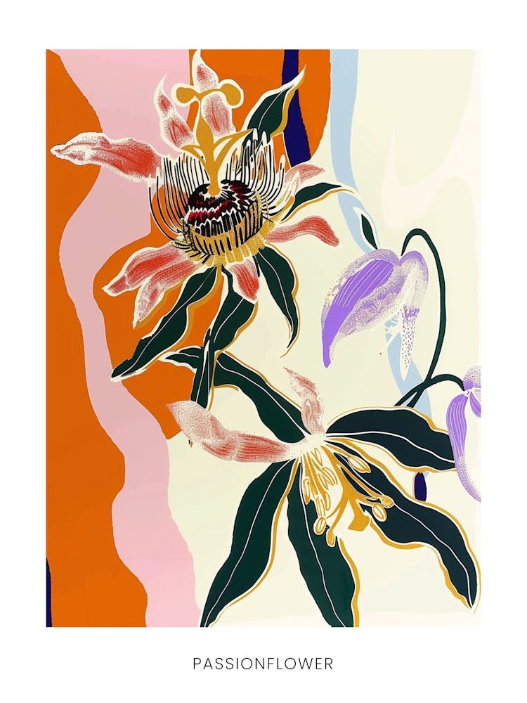 Colourful Flower Illustration Poster Passionflower 2