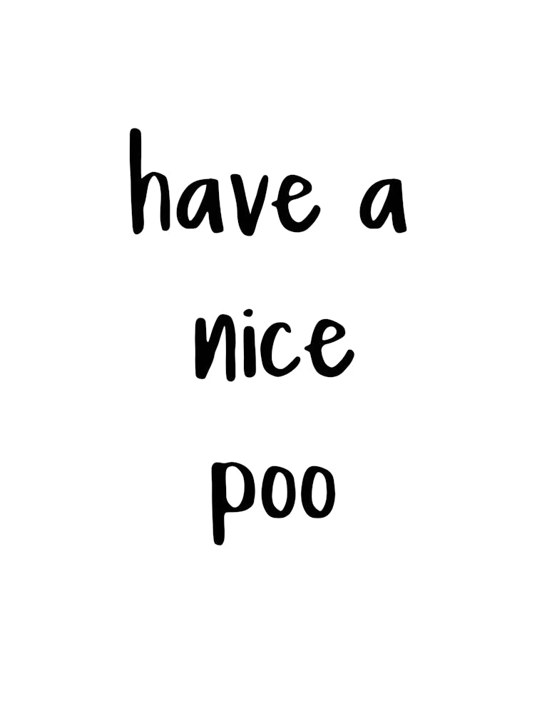 "Have a Nice Poo" Wall Art - Cheeky Decor