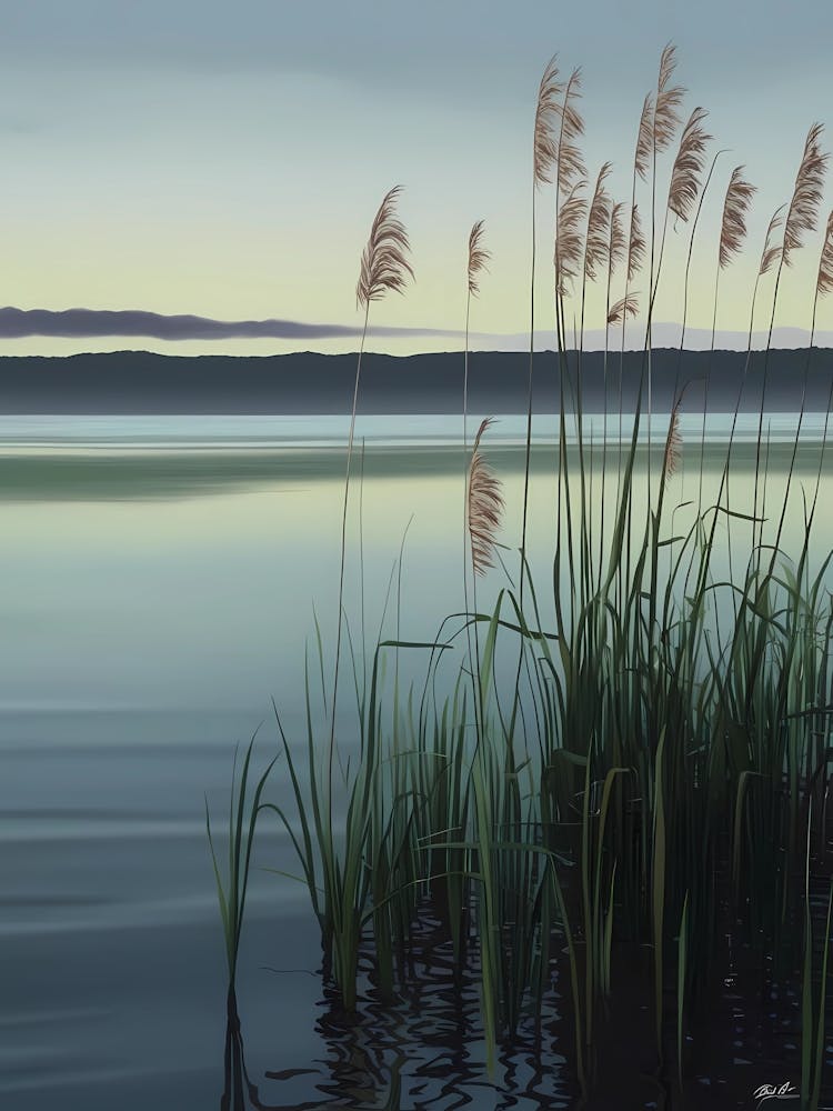 Reeds By The Lake