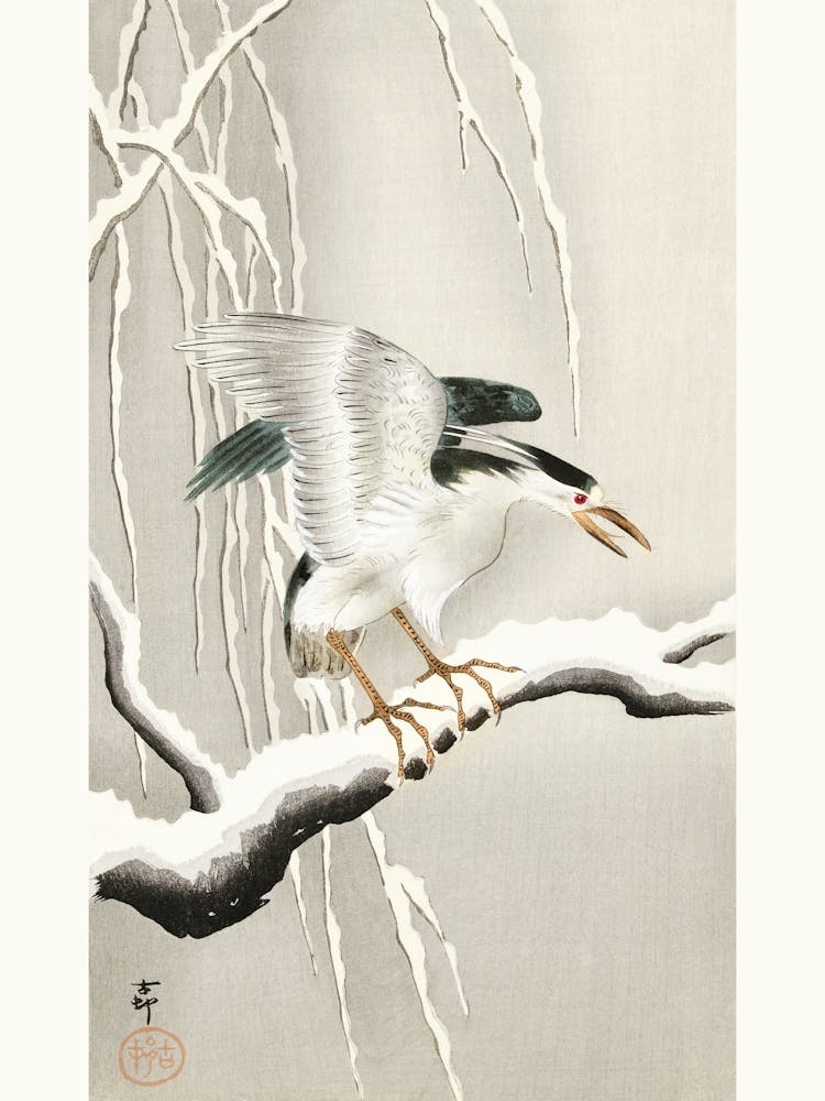 Emerge On Snowy Branch (1900 1930), Ohara Koson