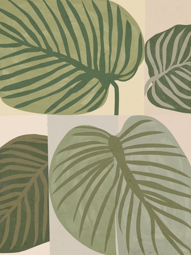 Cut Tropical Leaves