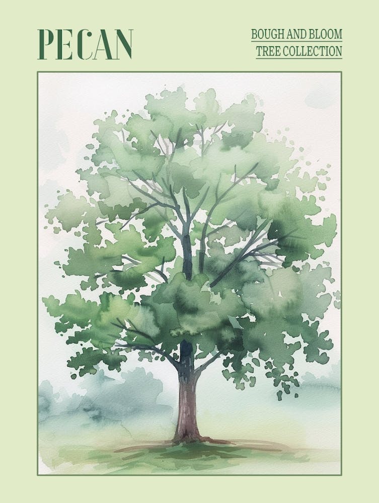 Pecan Tree Atmospheric Watercolour Painting 1 Poster