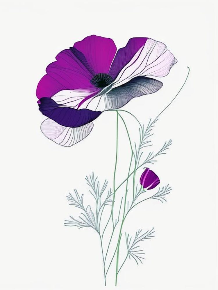Anemone Floral Minimal Line Drawing 5 Flower