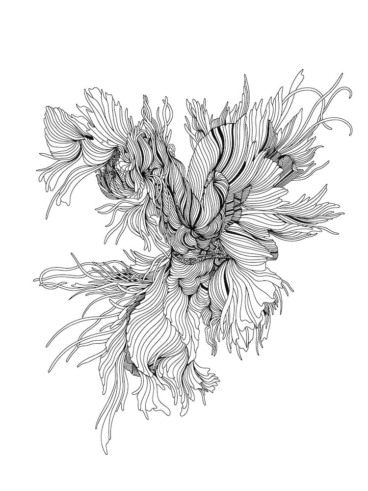 Night Rooster Linear Drawing