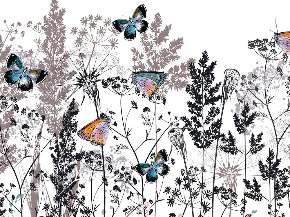 Wildflowers And Butterflies