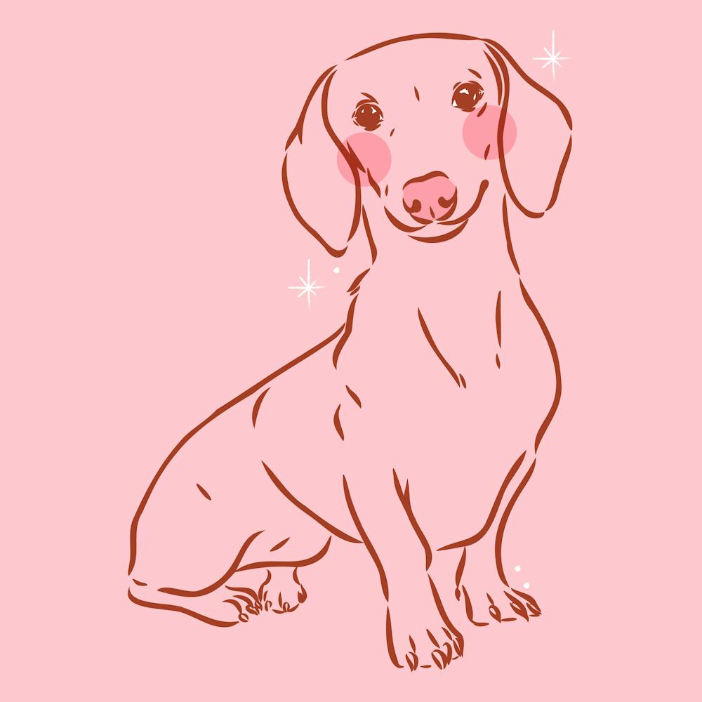 Dachshund | Sausage Dog - Pink 1