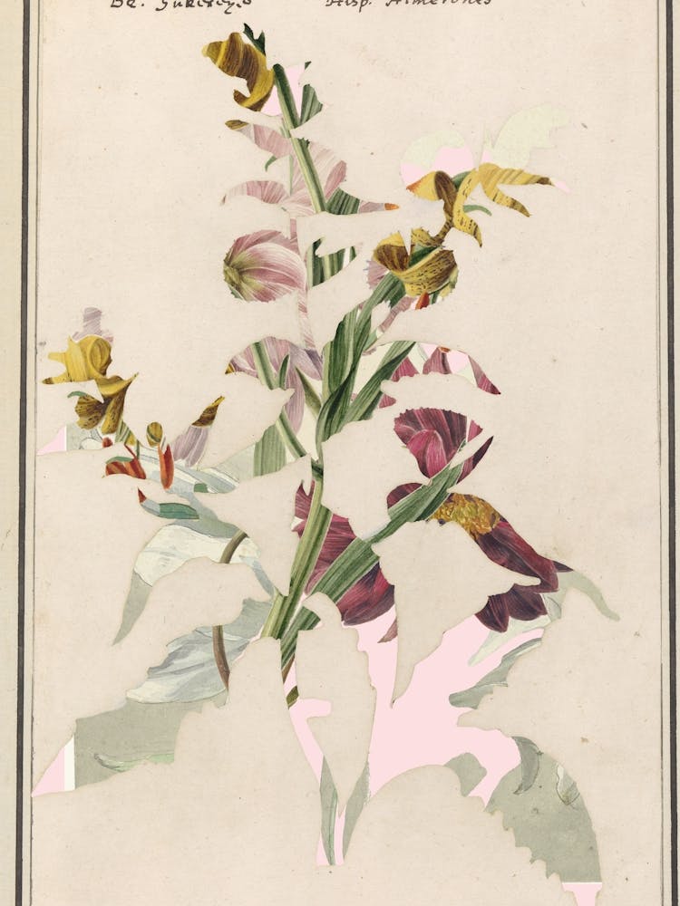 The First Plant · M3