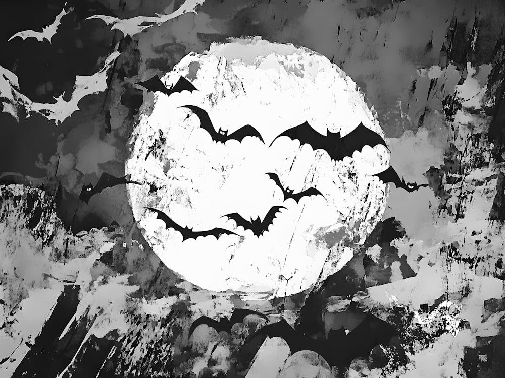 Chauves-souris Dans le Ciel 1