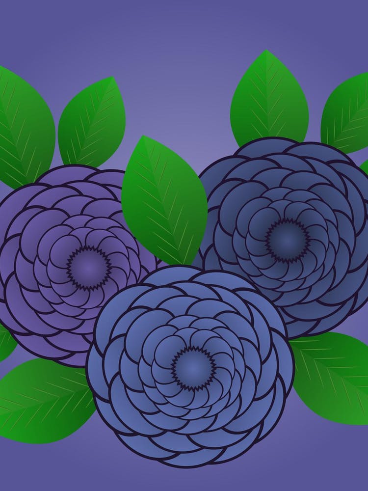 Purple Flowers