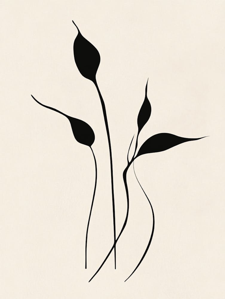 Lily Of The Valley 2