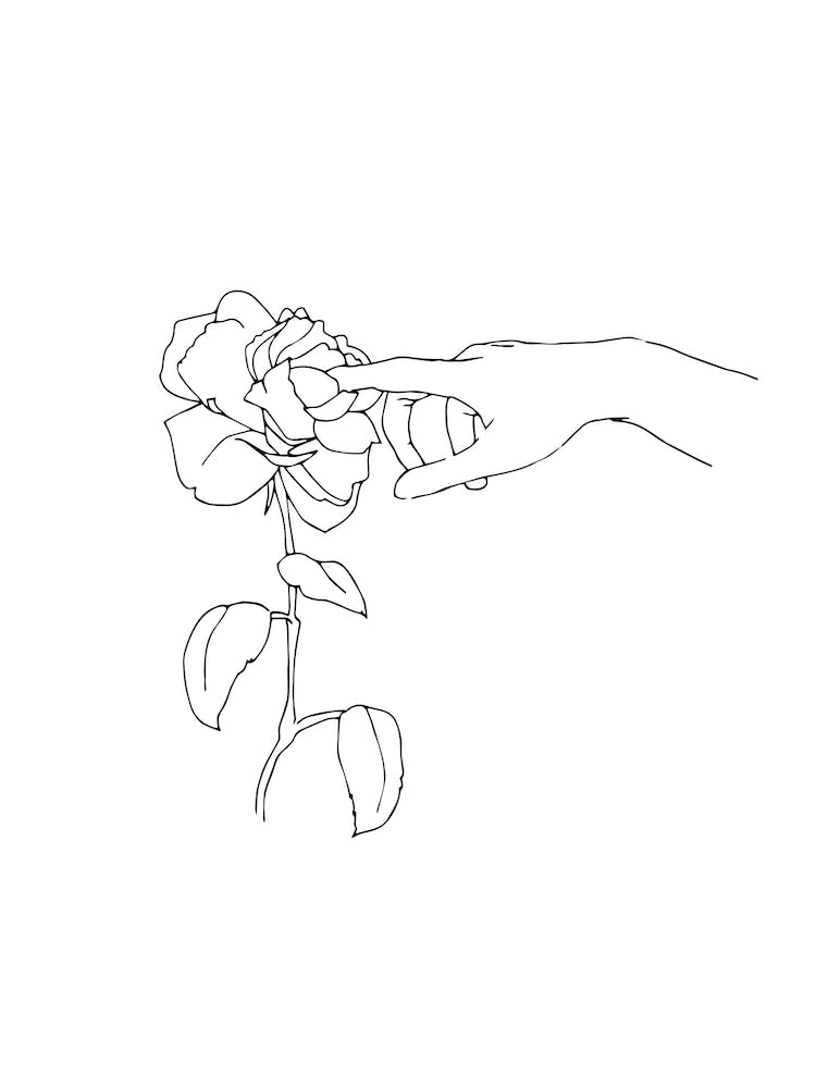 Verbunden mit Eden Line