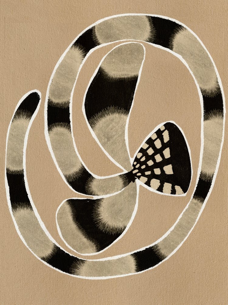 Delicate Bloom 5