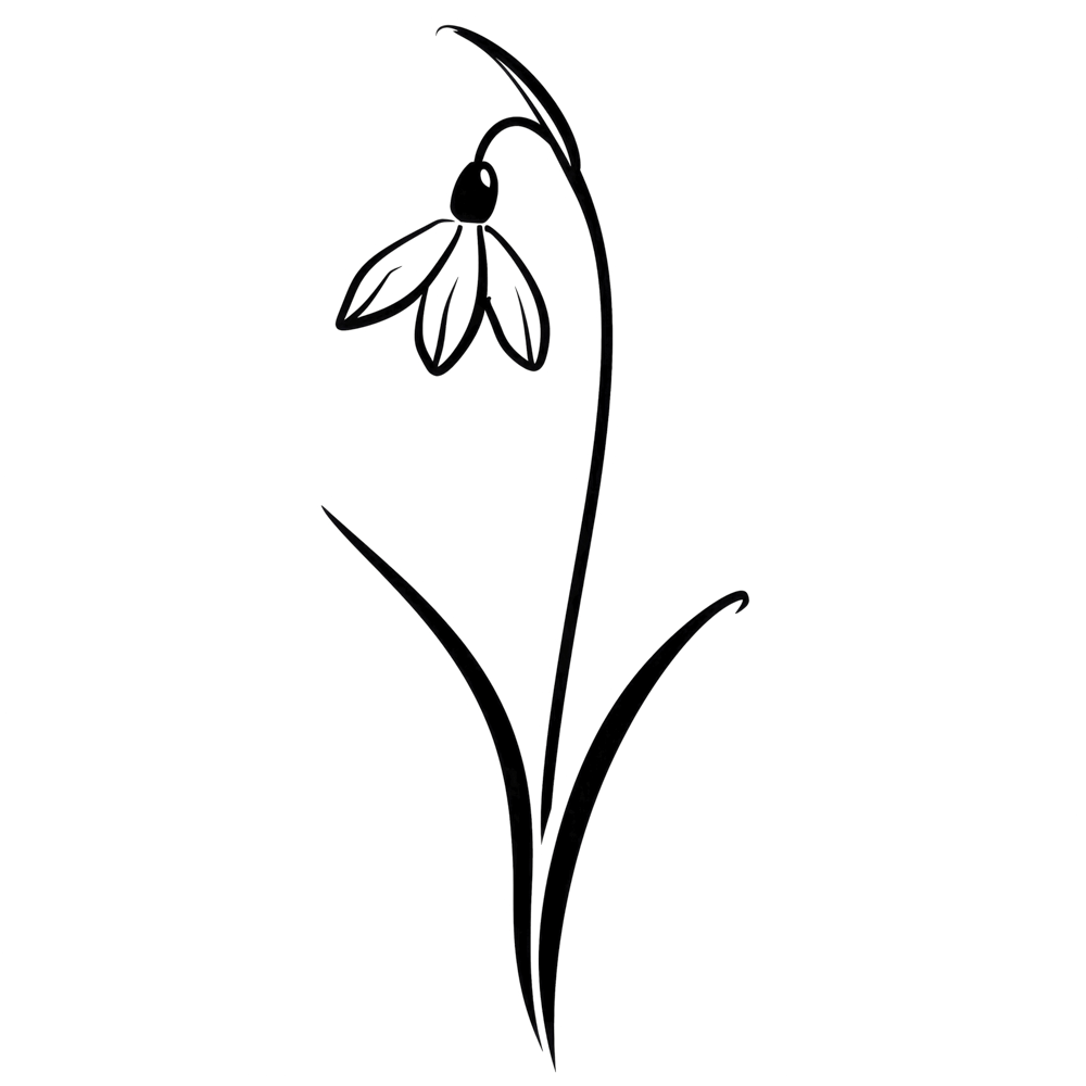 Schneeglöckchen Januar Geburtsmonatsblume
