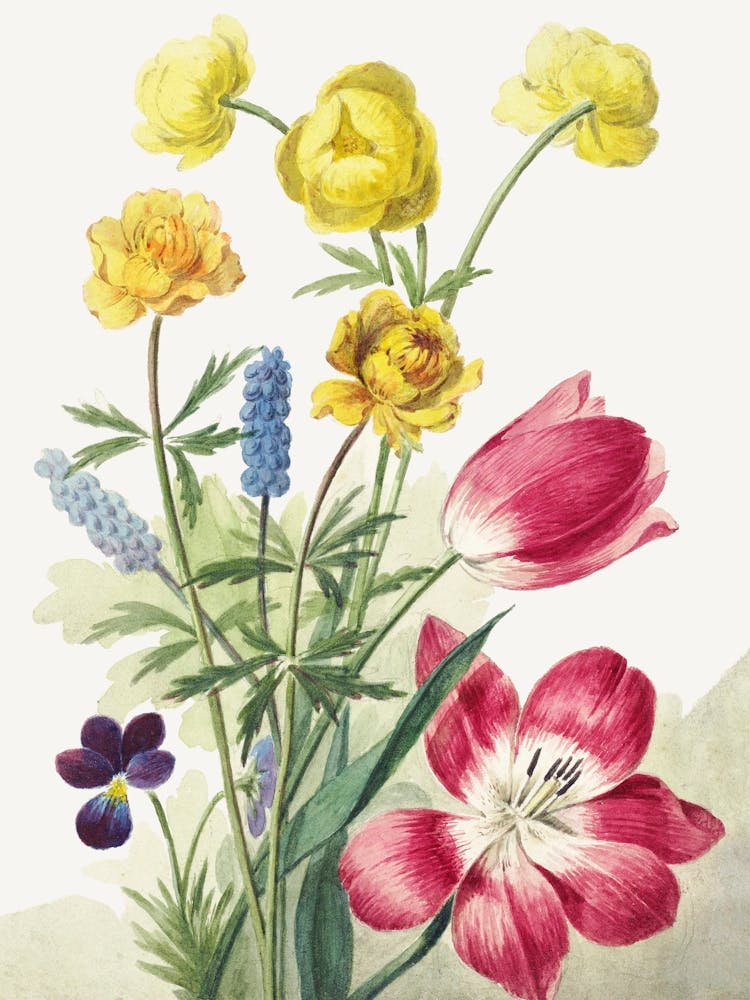 Bouquet Of Tulips Vintage Floral Painting