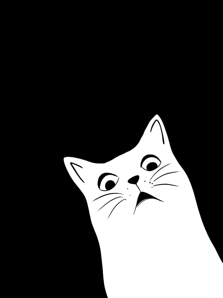 Katzenauge