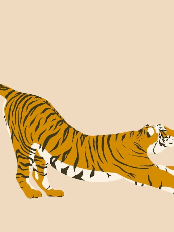 Tiger Stretching - Beige