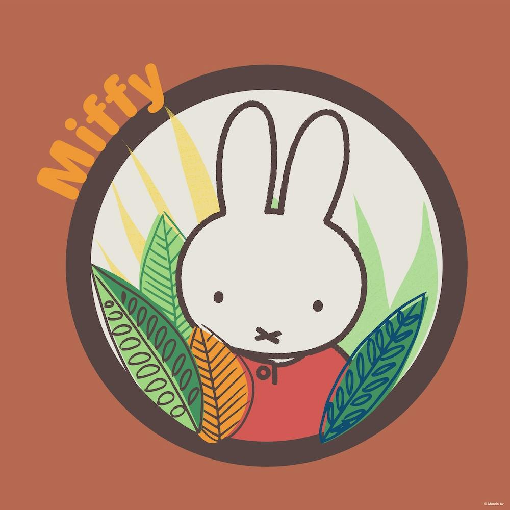 Miffy Square