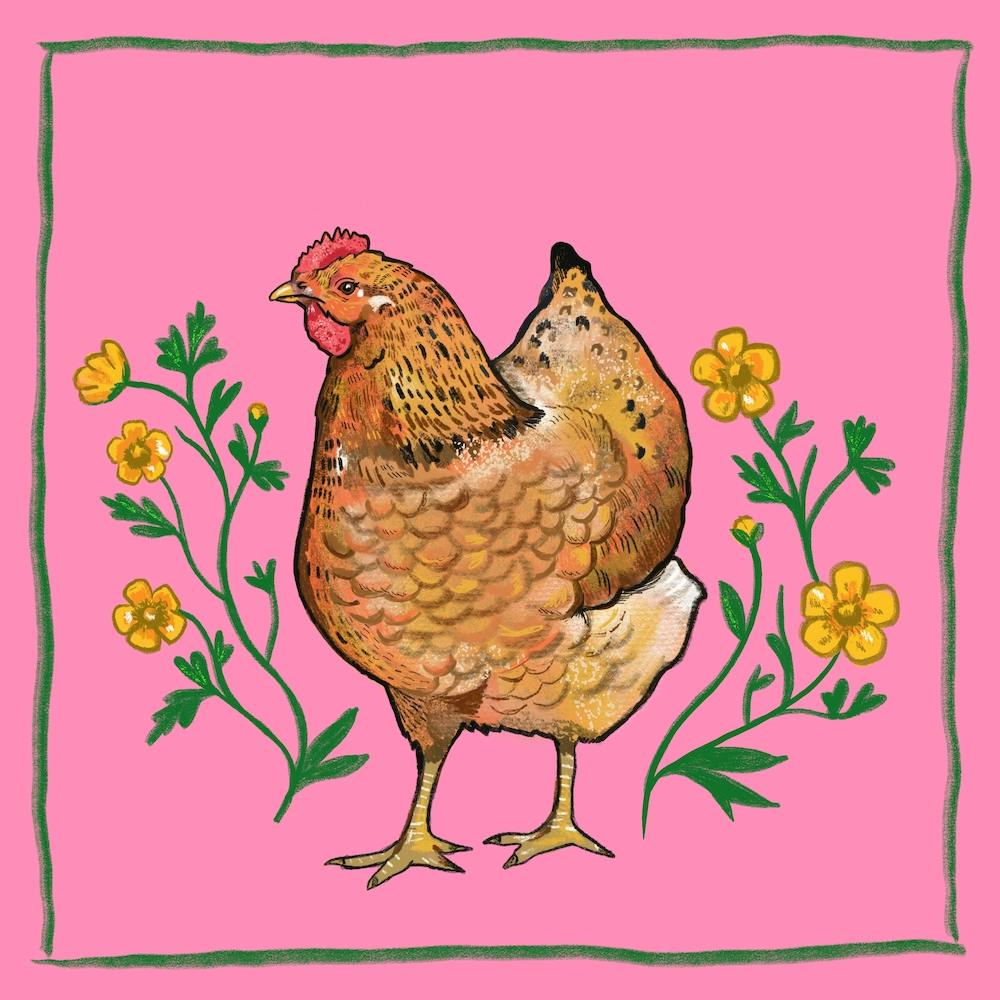 Hen Buttercups  Square