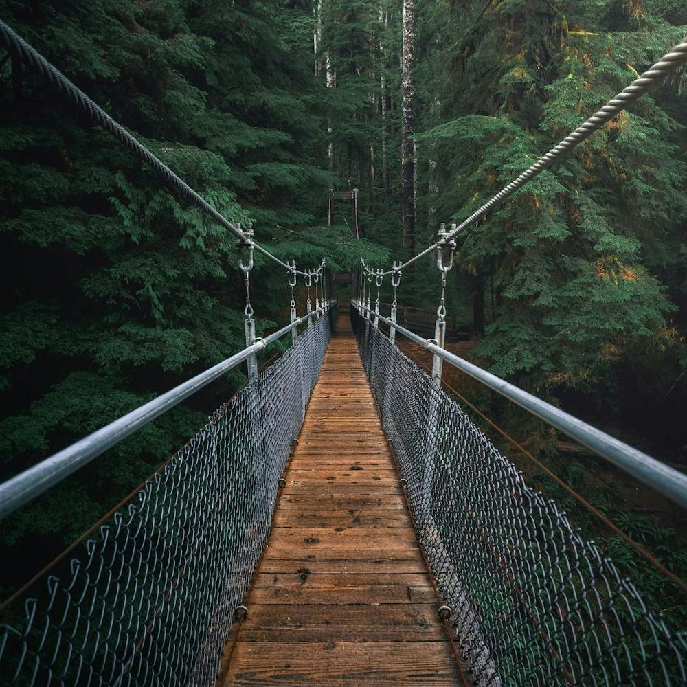 Suspension Bridge