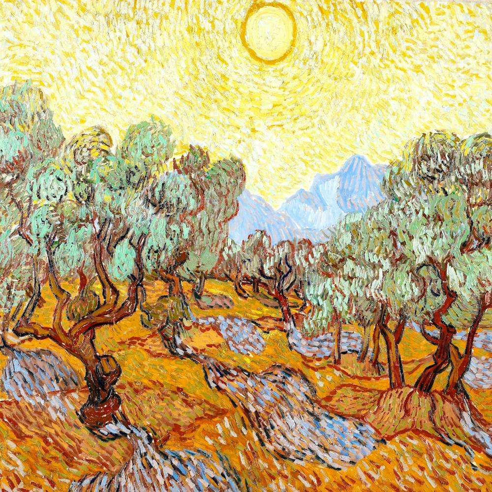 Vincent Van Gogh Olive Trees