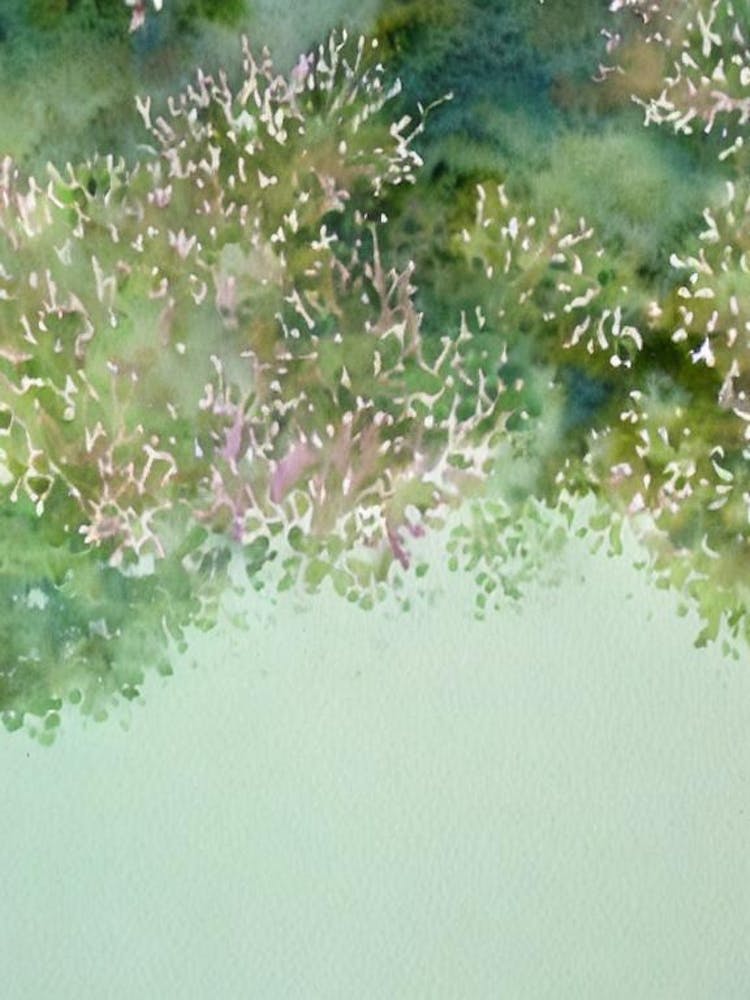 Acropora Millepora Storybook Watercolour