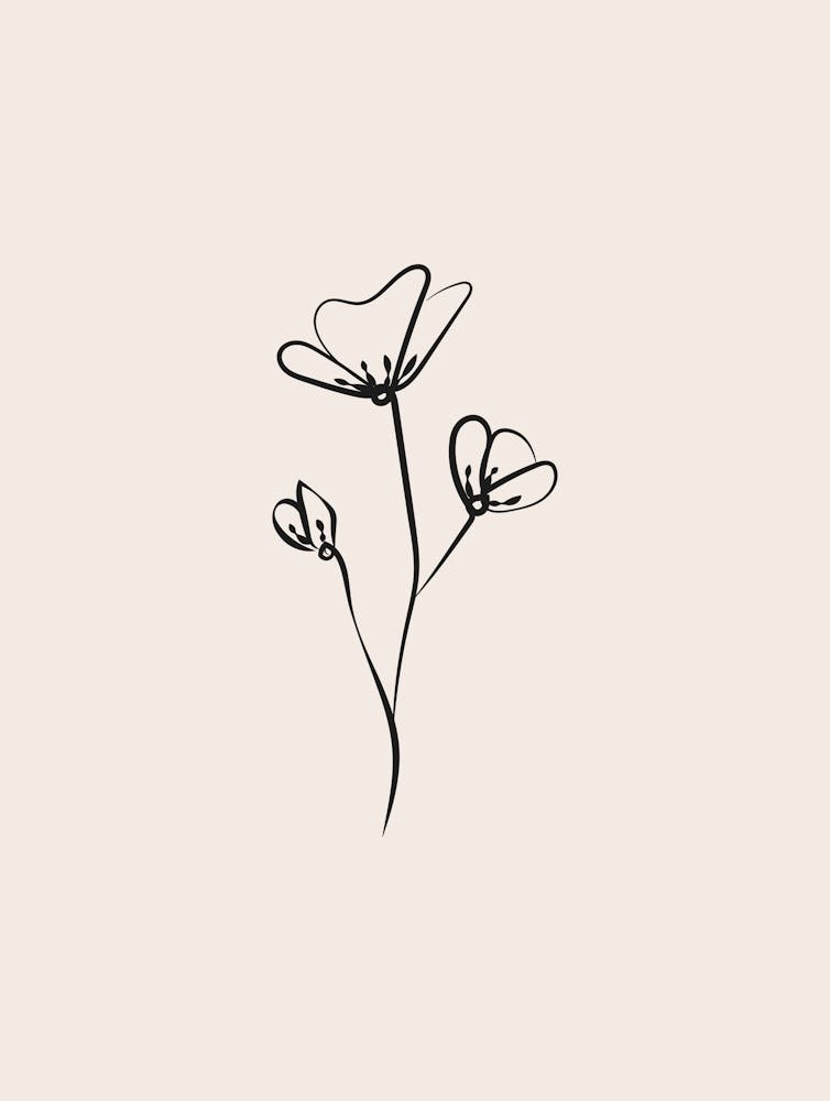 Line Art Flower 1 - Cream