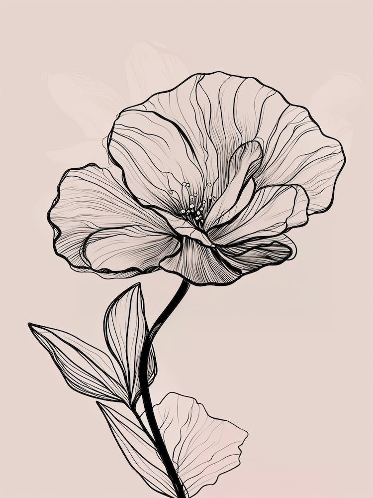 Gladioli Line Art Flowers Illustration Neutral 14